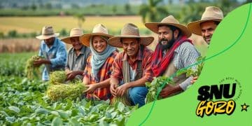 Food security programs adapting to climate change effectively